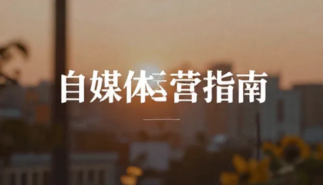 写作时如何选择实用资源？比较两种常见做法